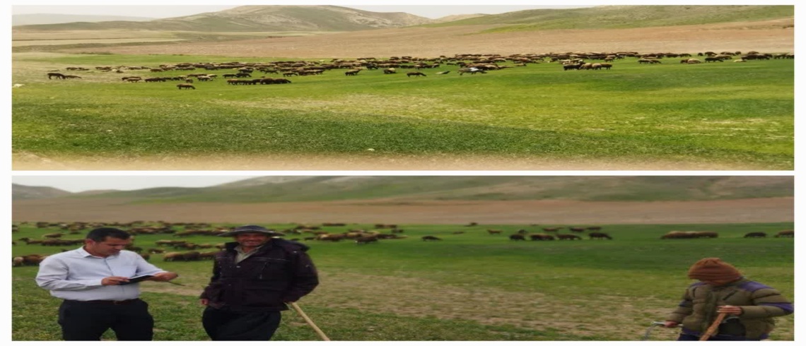 اجرای دستور دادستان و انجام قرار کارشناسی در روستای چغورقشلاق شهرستان بیجار