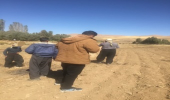 کردستان _ دیواندره  مورخ (۱۴۰۳/۰۸/۰۴)