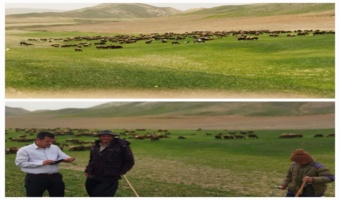 اجرای دستور دادستان و انجام قرار کارشناسی در روستای چغورقشلاق شهرستان بیجار
