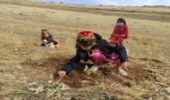 پویش مردمی احیا جنگل های زاگرس در کردستان اجرا می‌شود