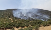 جنگلبانان کردستان سه بار آتش جنگل های مریوان را خاموش کردند