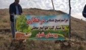 گزارش تصویری از نهضت نهال کاری کردستان