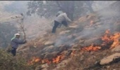 نجات مراتع از خطر آتش سوزی نیازمند مشارکت همگانی است