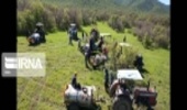 عملیات گیاه‌پزشکی در جنگل‌های کردستان 