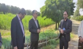 سالانه یک میلون اصل نهال در نهالستان های استان تولید می‌شود