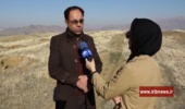 اختصاص ۶۰ هکتار از نهالستانهای کردستان به کشت نهال