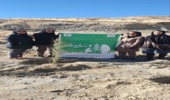 کامیاران/ پویش کاشت نهال به‌مناسبت ولادت باسعادت حضرت فاطمه زهرا(س) و تکریم و گرامیداشت مقام مادر و روز زن