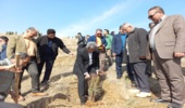 مراسم غرس نهال در روز ۱۵ اسفند 