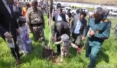 برگزاری پویش نهال‌کاری با شعار «درخت دوستی به یاد آیندگان»_ مریوان