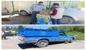 کشف و ضبط مقدار ۱۶۵ کیلو گرم گنکر کوهی