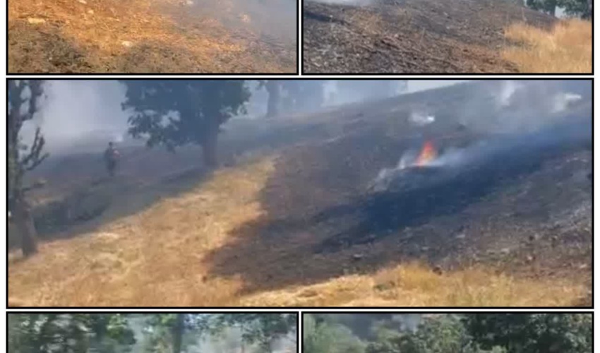 اطفای حریق حادث شده در بخشی از جنگل‌ها و مراتع روستای بلکه