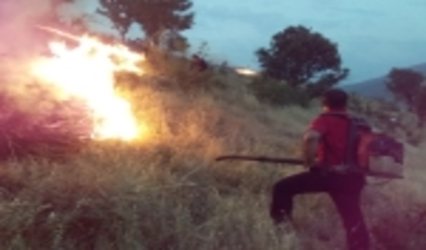 امسال ۲ هزار و ۶۵۴ هکتار از مراتع کردستان طعمه حریق شد