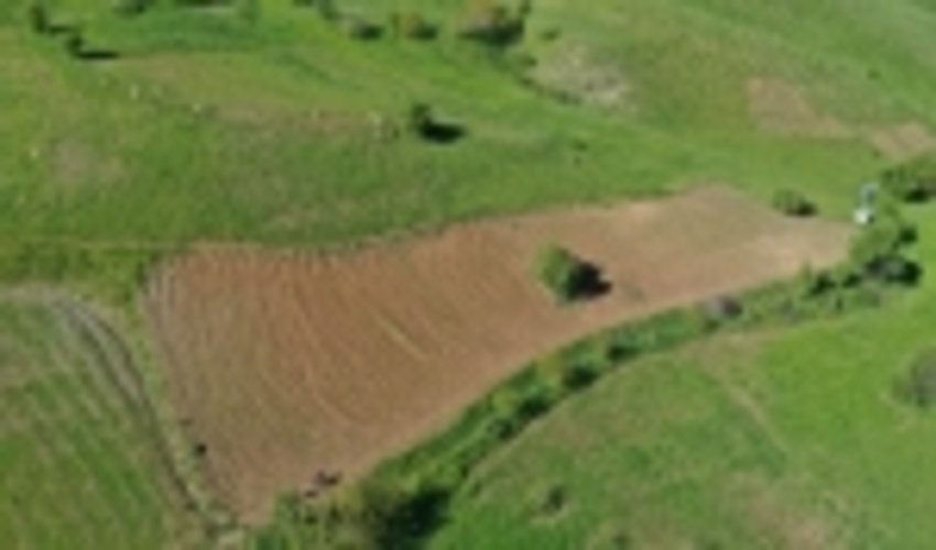 ۳۲۶ هکتار از عرصه‌های طبیعی کردستان رفع تصرف شد 