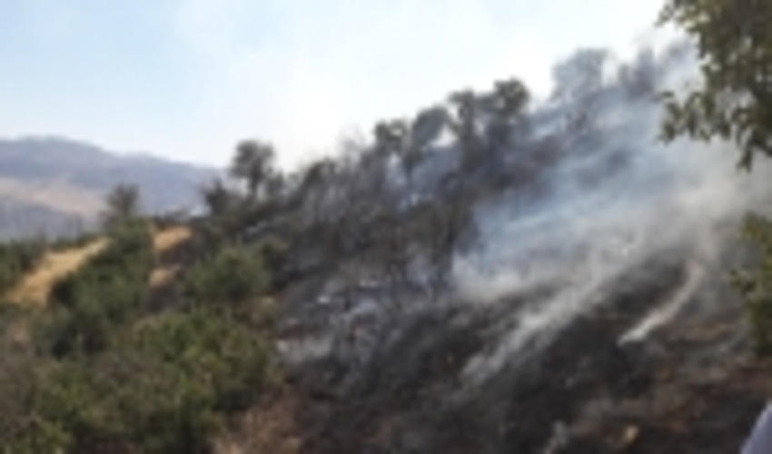 آتش طمع، متصرف اراضی ملی را به دام انداخت