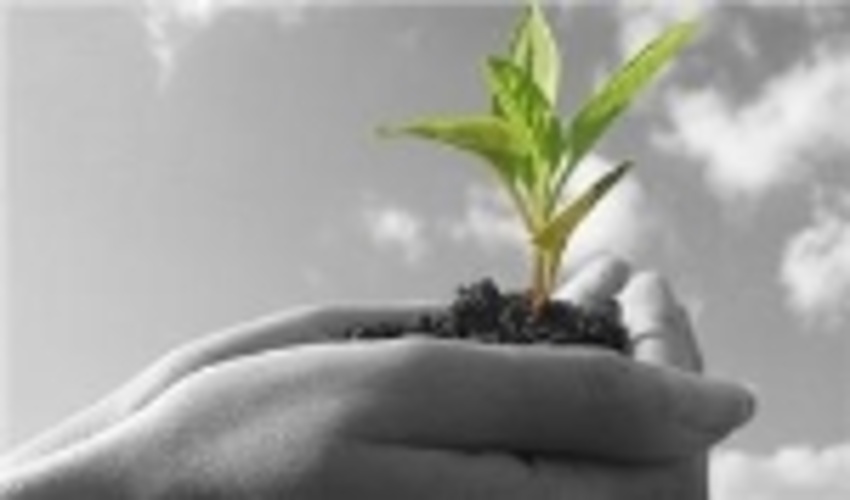 منابع طبیعی سرمایه ملی و متعلق به تمامی انسان‌ها است 