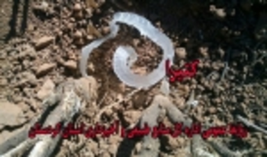 محصولات فرعی جنگلی و مرتعی در سبد صادرات کردستان 