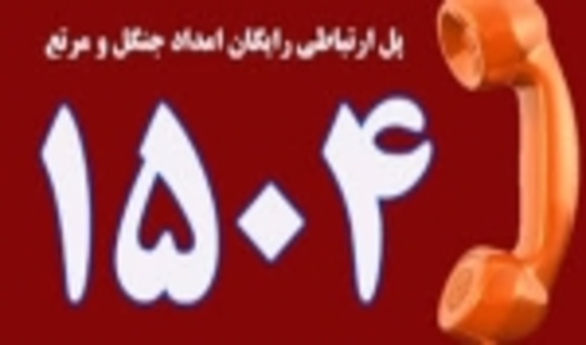 دریافت ۴۰۰۰ گزارش مردمی توسط سامانه یگان حفاظت منابع طبیعی کردستان