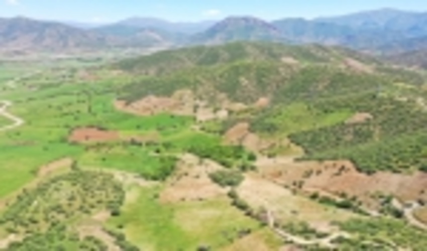 متصرفان عرصه‌های طبیعی مریوان به کشت ۱۰ هزار درخت محکوم شدند