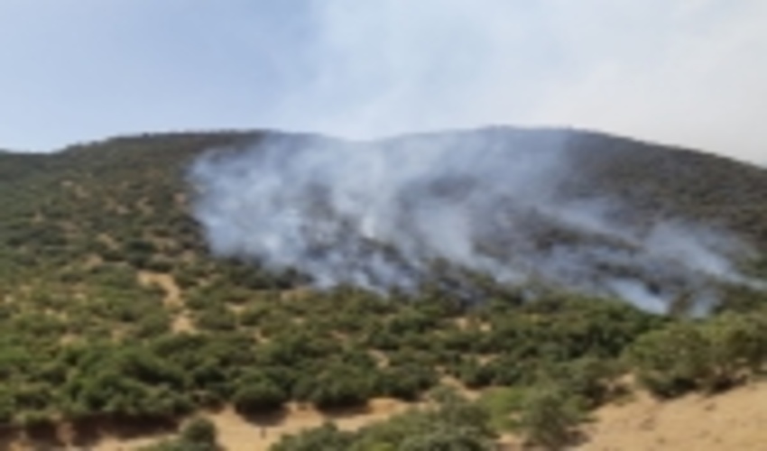 جنگلبانان کردستان سه بار آتش جنگل های مریوان را خاموش کردند