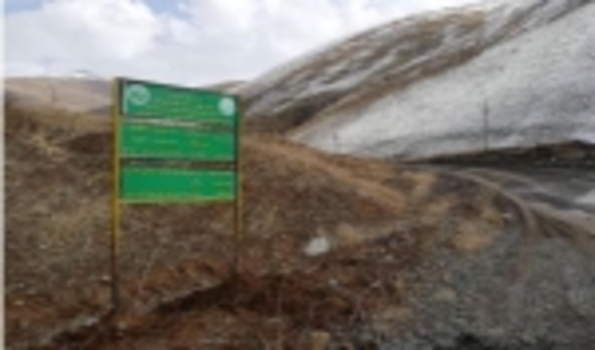 ۶۰۰ هکتار از مراتع حوزه سد آزاد در مریوان قرق شد