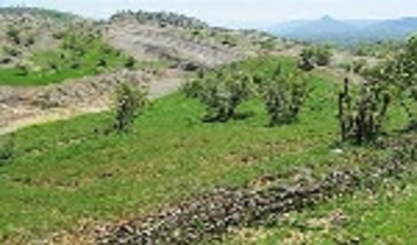 ۱۵۰ هکتار از اراضی ملی کامیاران خلع ید شد