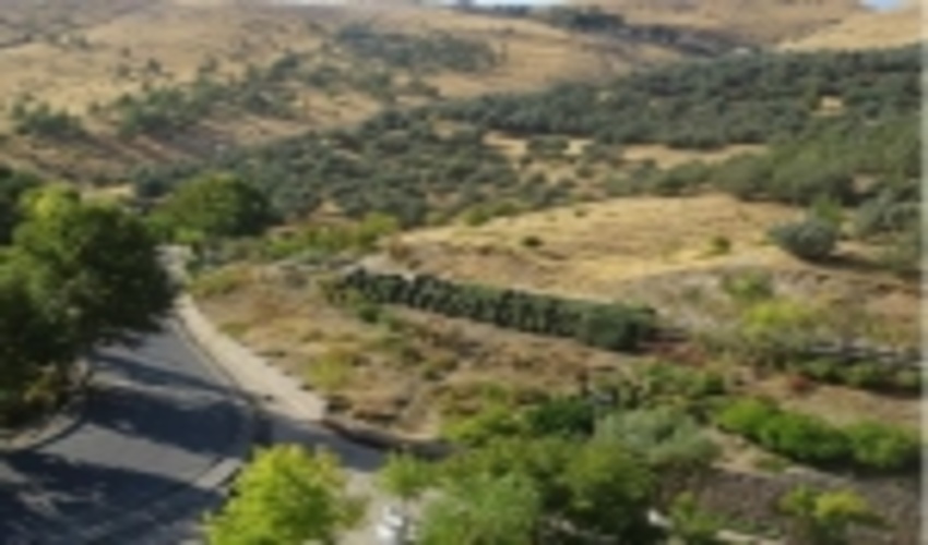 حدود ۶ هکتار از اراضی ملی پارک جنگلی آبیدر خلع ید شد