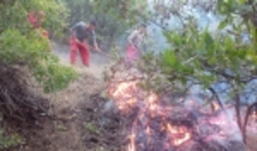 22 دستگاه اطفای حریق برای مراتع و جنگل های کردستان خریداری شد