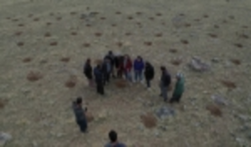 تولید سالانه بذر مرتعی در کشور به کمتر از ۷۰ تُن رسید