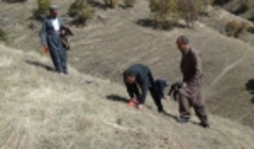 اجرای طرح بوم سازگان درمریوان 