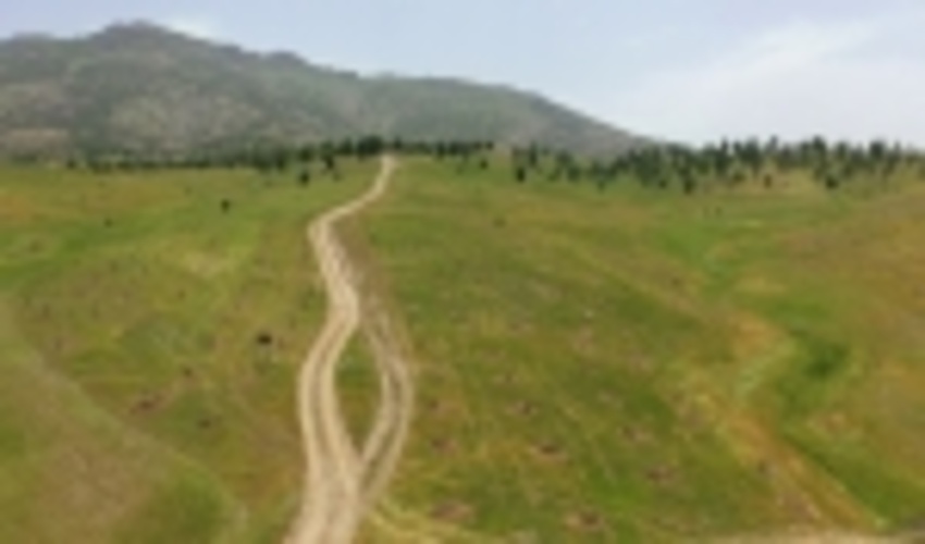 احیاء زاگرس 