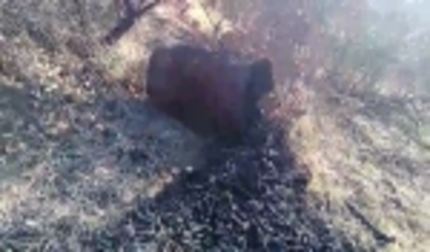 تخریب ۳ دهنه کوره زغالگیری