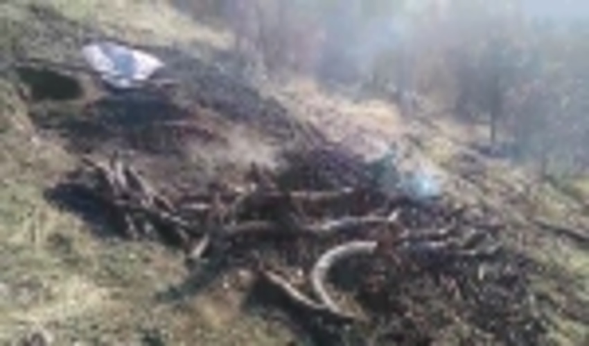 ۲ دهنه کوره ذغالگیری در مریوان منهدم شد