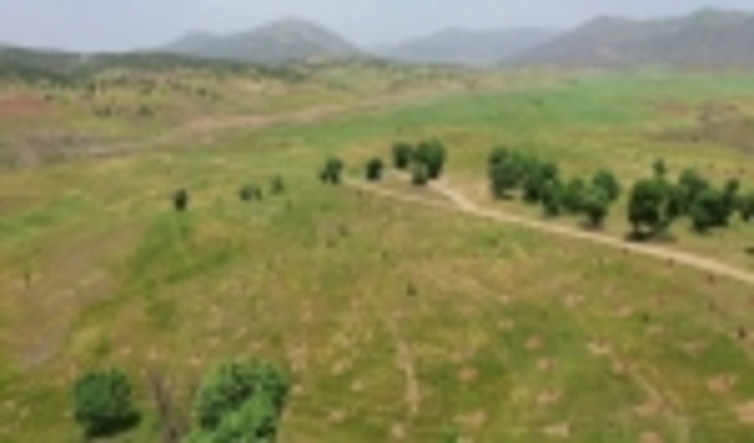 اجرای طرح بوم سازگان در پنج زیر حوزه آبخیز در کردستان