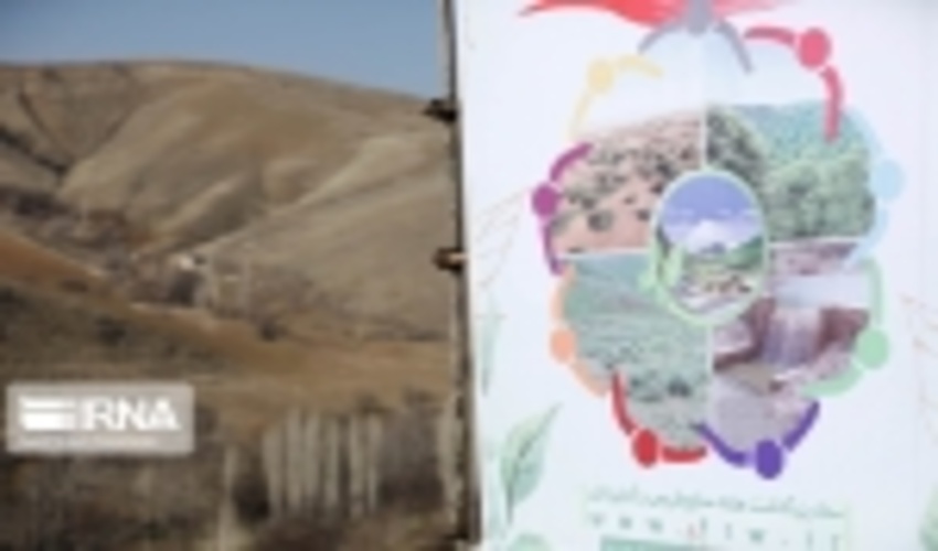 فصل شکوفه‌های بادام در آرندان