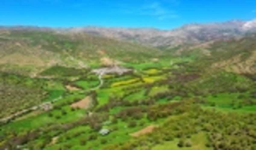 رفع تصرف 562 هکتار اراضی منابع طبیعی در کردستان 