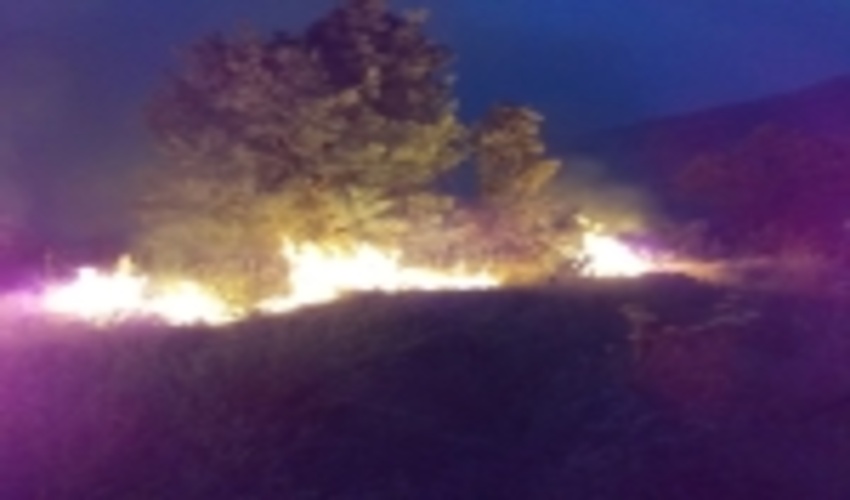 یک‌هزار و ۱۶۰هکتار از عرصه‌های طبیعی کردستان طعمه حریق شد