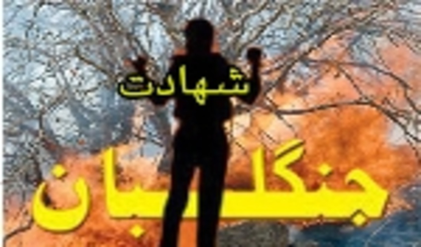 آتشوزی جنگلها و مراتع مریوان 4 کشته برجای گذاشت