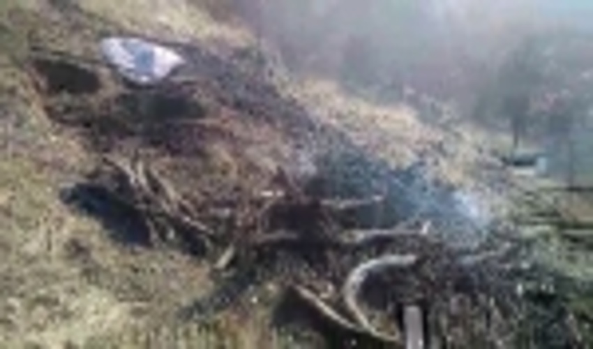 کشف ۳۰ تن چوب درختان جنگلی قاچاق در مریوان 