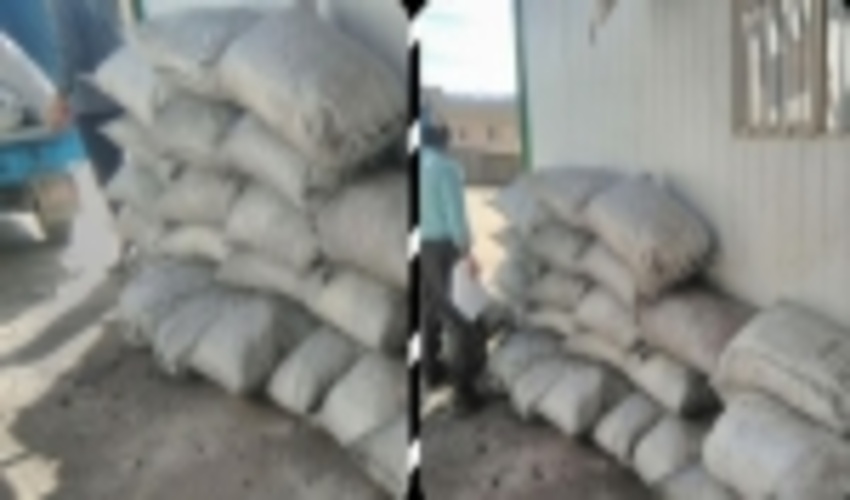  40 کیسه زغال قاچاق در مریوان کشف و ضبط شد