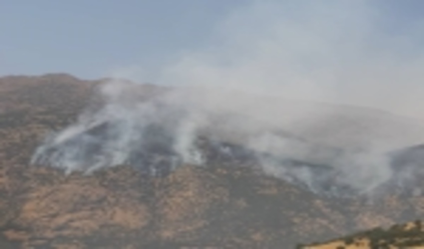 آتش در جنگل‌های منطقه کوسالان سروآباد همچنان زبانه می‌کشد