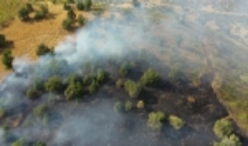 ۵۰ فقره آتش‌سوزی در عرصه‌های طبیعی کردستان روی داد