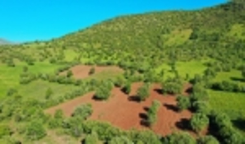 عاملان تخریب مراتع در بخش هورامان شناسایی شدند