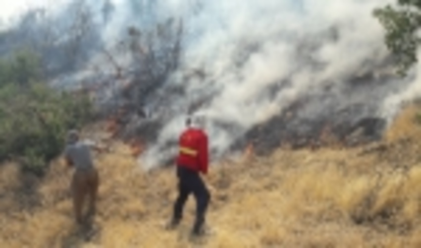 مراقب وقوع آتش‌سوزی مراتع هم‌زمان با گرم شدن هوا باشید