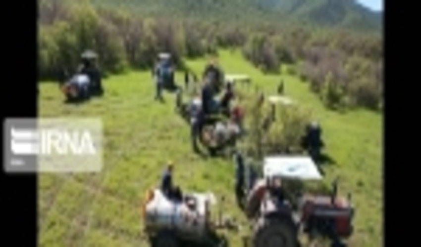 عملیات گیاه‌پزشکی در جنگل‌های کردستان 