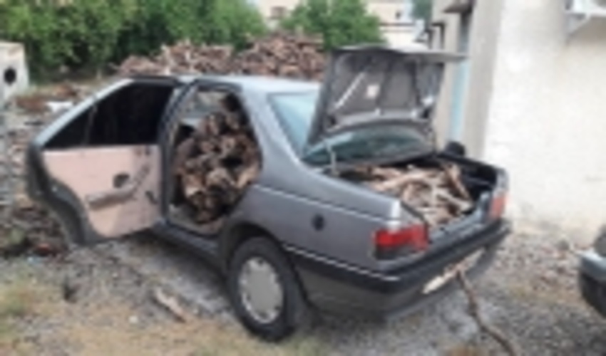 امسال ۹ فقره پرونده تخلف قطع درختان مثمر در بیجار تشکیل شد