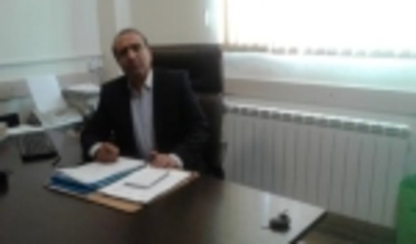 قطع نبض سبز زندگی، به دست سودجویان