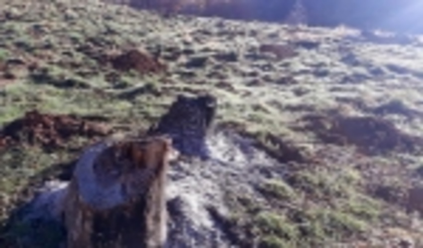 کُردها عهد شکن نیستند