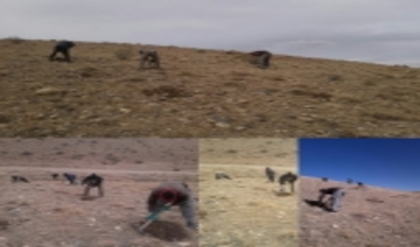  مردم اثربخشی فعالیت های منابع طبیعی را نبینند، قطعاً امیدی به مشارکت آنان نیست 