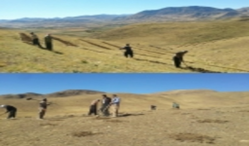   اجرای عملیات بیولوژیک مرتعداری در کردستان آغاز شد