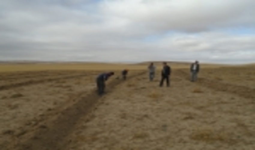 اجرای عملیات بیولوژیک در شهرستان بیجار